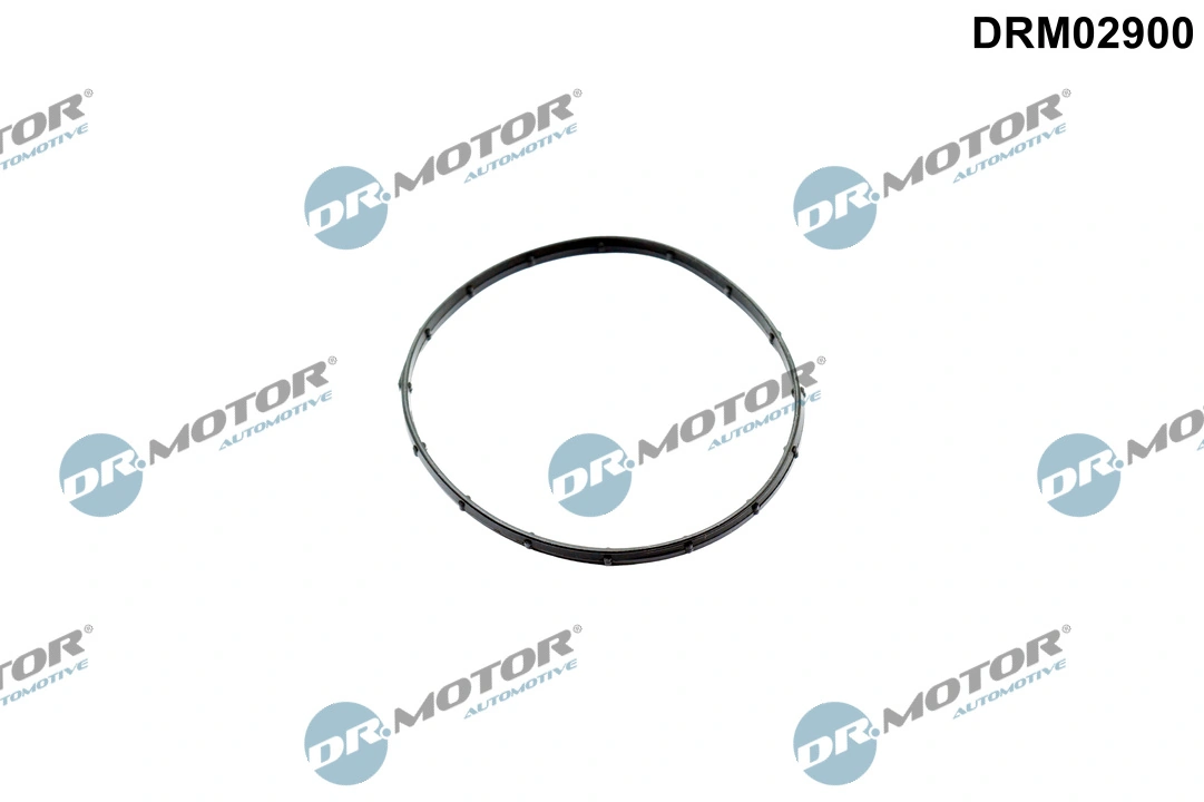 Gasket, vacuum pump
